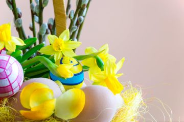 close up photography of yellow daffodil flowers